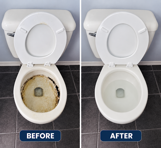 Toilet before and after cleaning